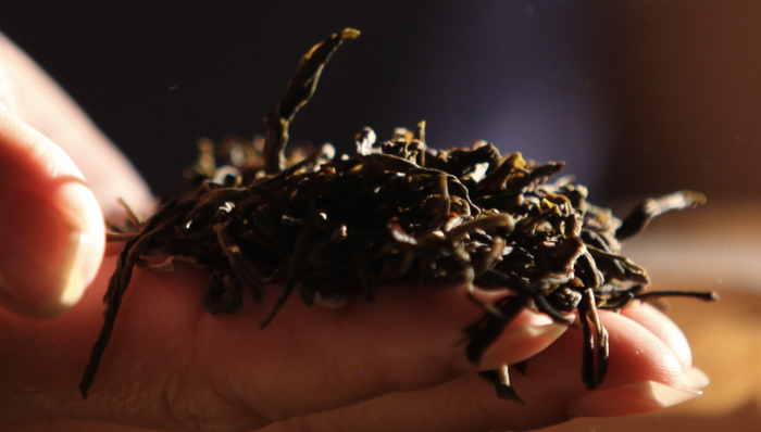 茶,投资,金融