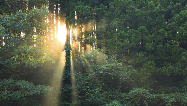 地产产业链估值修复，这些个股有望爆发 | A股2022投资策略⑬