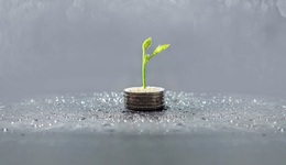 一周增发融资：大金重工、杭可科技、泉峰汽车加速融资扩产，杉杉股份获控股股东增资