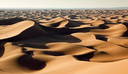 沙漠与人类：当撒哈拉仍是绿色