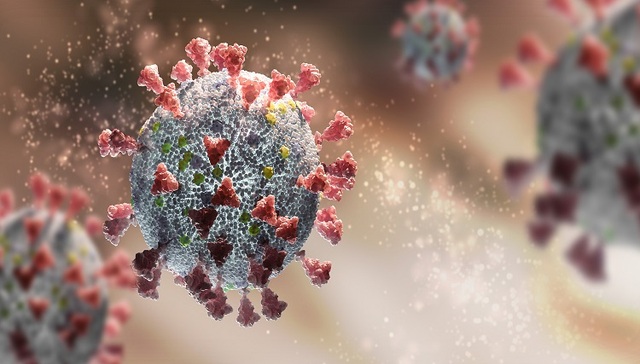 突变数量超过奥密克戎，如何看待最新变异毒株IHU？