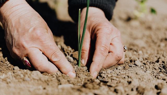 细胞工厂,农产品,技术创新