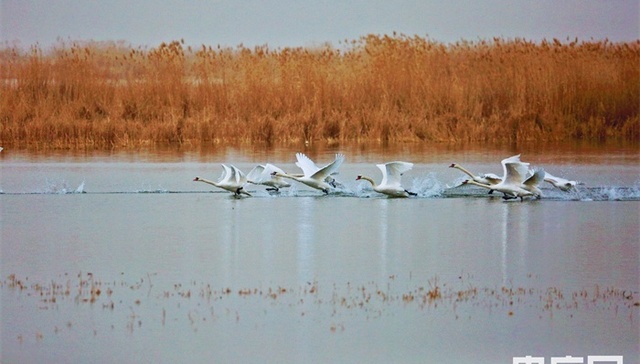 十四五,生态功能区,生态安全,建设创新型,生态优先,新局面,创新主体,新品系,生态状况,创新链
