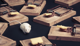 把用戶培養(yǎng)成“廣告機(jī)器人”，極速版APP背后的網(wǎng)賺局中局