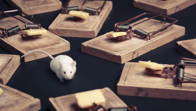 极速版app,趣头条,商业模式