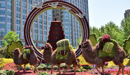 陳波：要逐步建立人民幣在“一帶一路”國(guó)家經(jīng)貿(mào)中“錨貨幣”地位