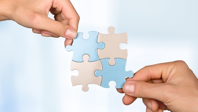 解直锟,中植,合并