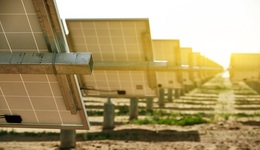 意华股份11亿定增遭大小股东齐看空？股价四日两跌停，控股股东忙套现