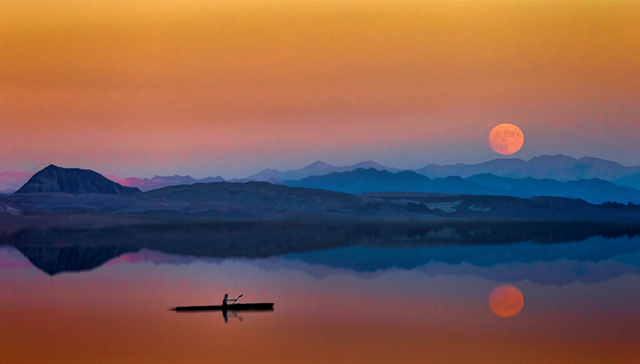 移动互联网,大厂,阿里巴巴,百度,美团,京东