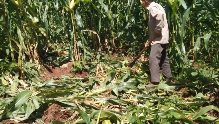 “三有名录”或除名野猪引争议，动保组织呼吁继续保护