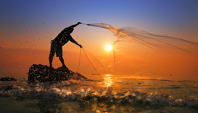 番茄资本，墨茉点心局，巴奴