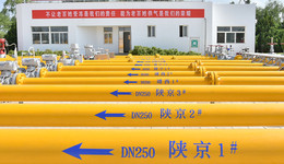 今冬国内为什么未出现气荒？