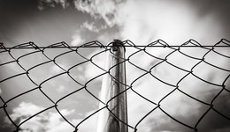 直通部委 | 移民局：一年來(lái)查獲偷渡人員4.7萬(wàn)余人 工信部：新能源車(chē)銷(xiāo)量連續(xù)7年全球第一