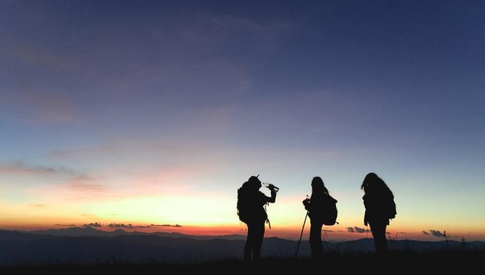 种草,市场格局,用户增长,消费场景