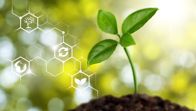 财政部：2021年农业保险保费规模为965.18亿元，同比增长18.4%