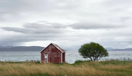 離開大城市的90后，隱居在“瓦爾登湖”