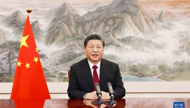 共同体意识,视频会议,经济复苏,世界经济发展,世界经济论坛,经济政策,经济社会,蛋糕,国际社会,小集