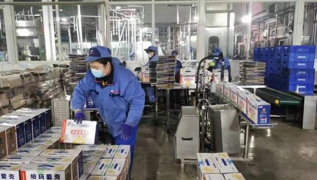 菜篮子,灰霉病,冬季蔬菜,霜霉病,叶类蔬菜,生菜,天津,农业农村,屠宰,生猪