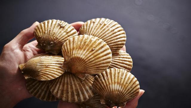 扇贝,预制菜,汤加火山爆发,业绩