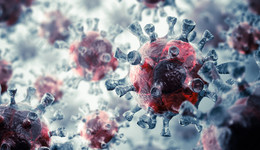 首輪奧密克戎疫情致9地確診超800例，防控速度成關鍵