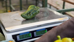 地方新聞精選 | 西安一小區(qū)攤點(diǎn)用八兩秤被罰2萬(wàn) 江西海關(guān)查獲157.6噸固體廢物