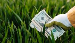 超百億資金流入，農(nóng)業(yè)創(chuàng)投大時(shí)代到了嗎？