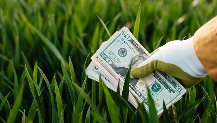 融资,VC,政策扶持,数字化