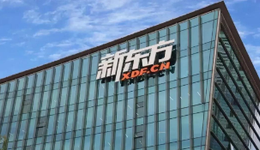 新東方連續(xù)兩日新增被執(zhí)行信息，到底是因?yàn)樯叮? class=