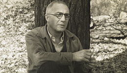 美國詩人威廉·卡洛斯·威廉斯：不要觀念，只在事物中 | 一詩一會