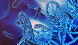 千亿高活性，益生菌市场的自我救赎