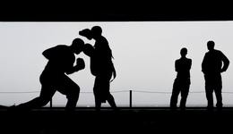 28家企业完成融资，近百家资本涌入，医美上游谁是最强王者？