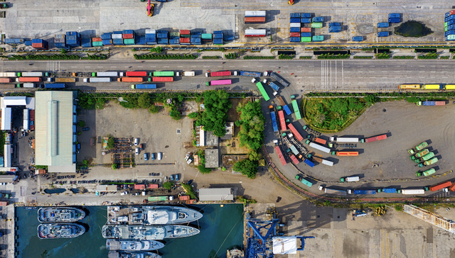 上海，两会，航运，集拼，口岸,洋山港,严伟,上海市人大代表