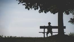 獨(dú)居不孤獨(dú)