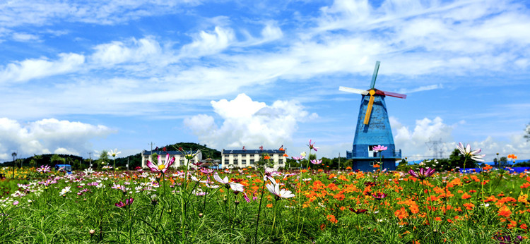 温泉之乡,三部曲,环巢湖,冶父山镇,乡村建设,乡村旅游,振兴战略,乡村文化,基层