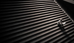 我们所有人都紧密相关，而且从一开始都是非洲人｜一周新书推荐