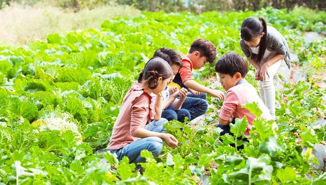 地方新闻精选｜浙江中小学生每周至少上一课时劳动课 山西返乡人员将全部纳入社区管理