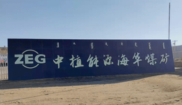 失去解直錕的“中植系”