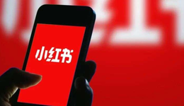 大厂为什么想做“小红书”