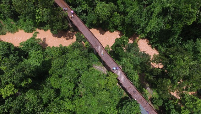 TNFD联合多家国际机构制定风险和披露框架，预计3月份发布
