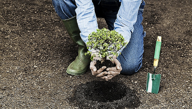 三年累计救助186961名患病成员，国内最大网络互助平台相互宝正式“谢幕”