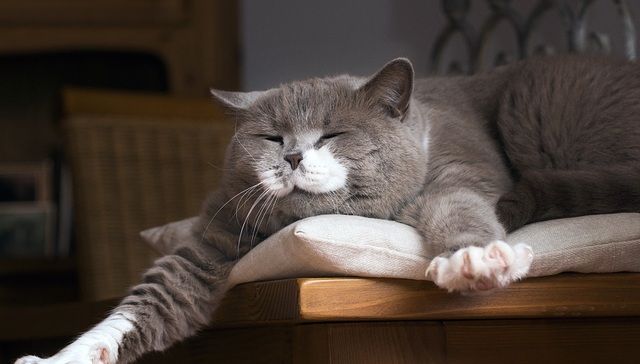 强制乐观、必须有用的观念如何影响了我们的生活？