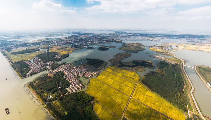 全国首次,多省,联合出台,免罚清单,文旅,气象,,长三角,沪苏浙皖,上海市司法局