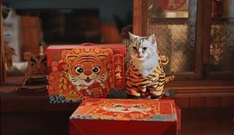 年味渐变淡，年货怎么还是成了新消费品牌抢破头的战场？