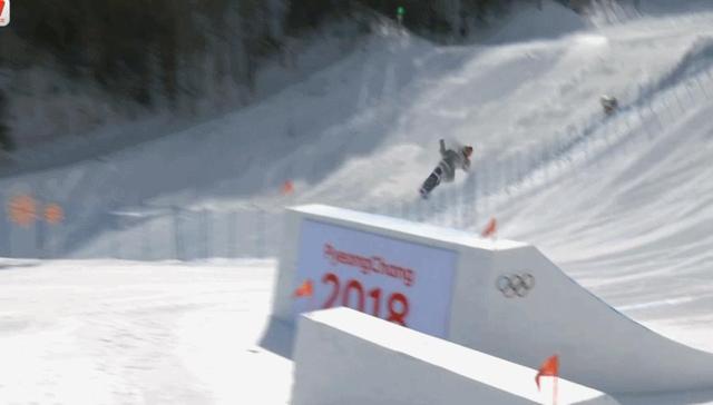 单板滑雪,比赛规则,1983年,女子坡,技巧,跳台,冬奥会,坡面,赛道,障碍