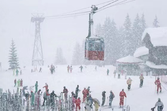 虎年春节出行，雪场、海岛“一冷一热”走俏