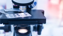 “药明系”全线大跌，药明生物暴跌近23%后停牌，药明康德跌停后紧急澄清