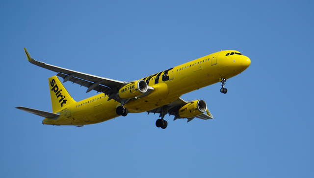 美国两大廉价航空宣布合并，预计下半年完成交易