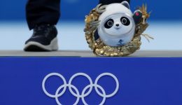 冰墩墩的走红与大熊猫的文化政治 | 旧文重温