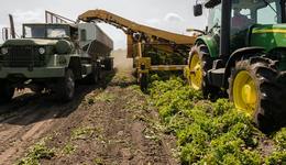 设施农业超万亿市场，逾百家企业布局其中，“物联+智能”是未来方向