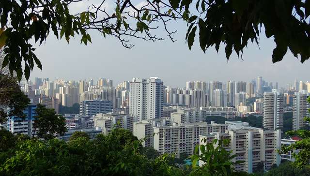 新加坡计划首次上调碳税标准，激励企业转型